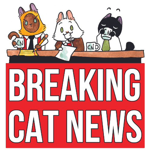 Breaking Cat News