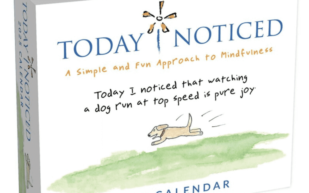Today I Noticed 2025 Day-to-Day Calendar