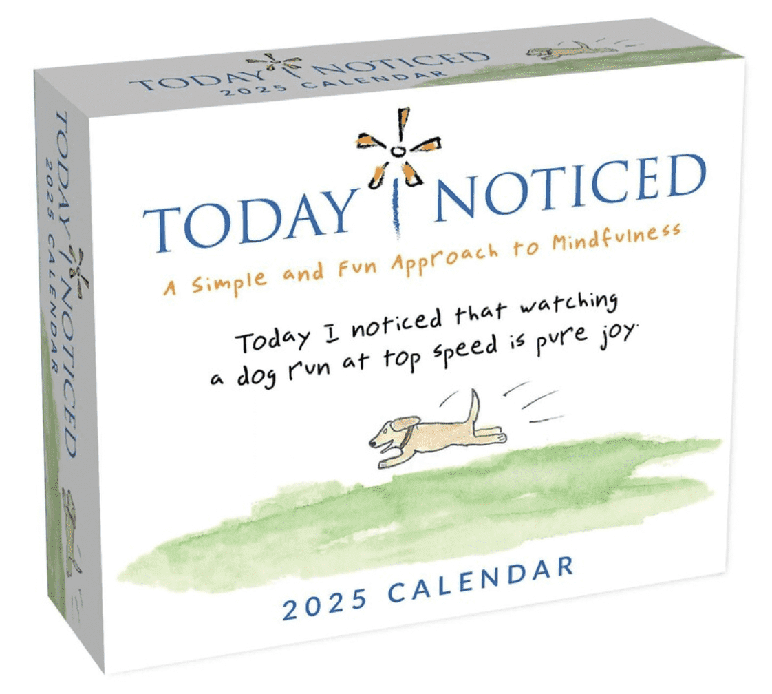 Today I Noticed 2025 Day-to-Day Calendar