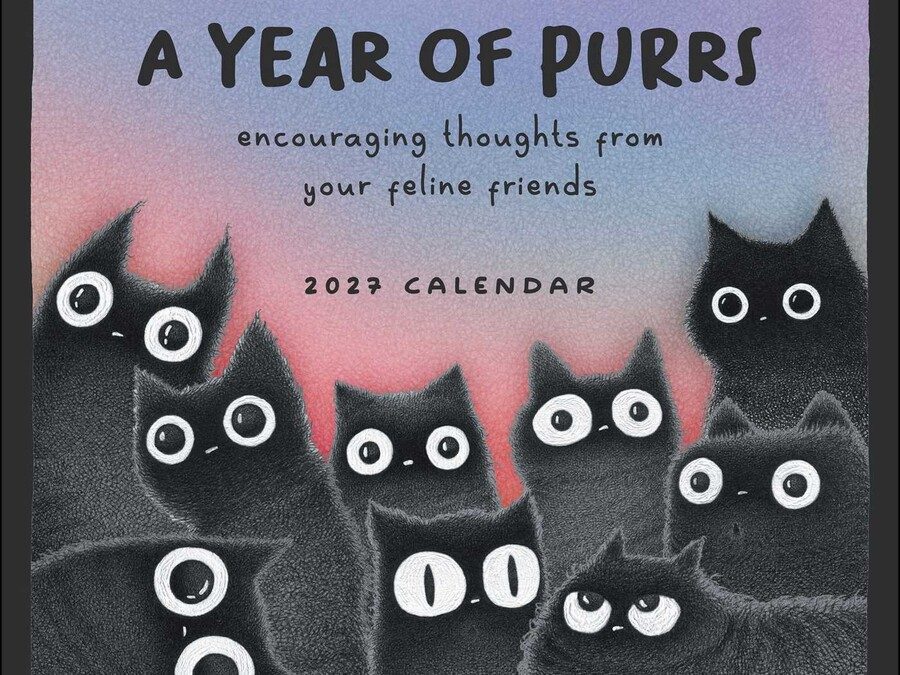 A Year of Purrs 2027 Wall Calendar